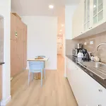 Apartman Brand New Anjos *
