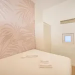 Brand New Anjos *